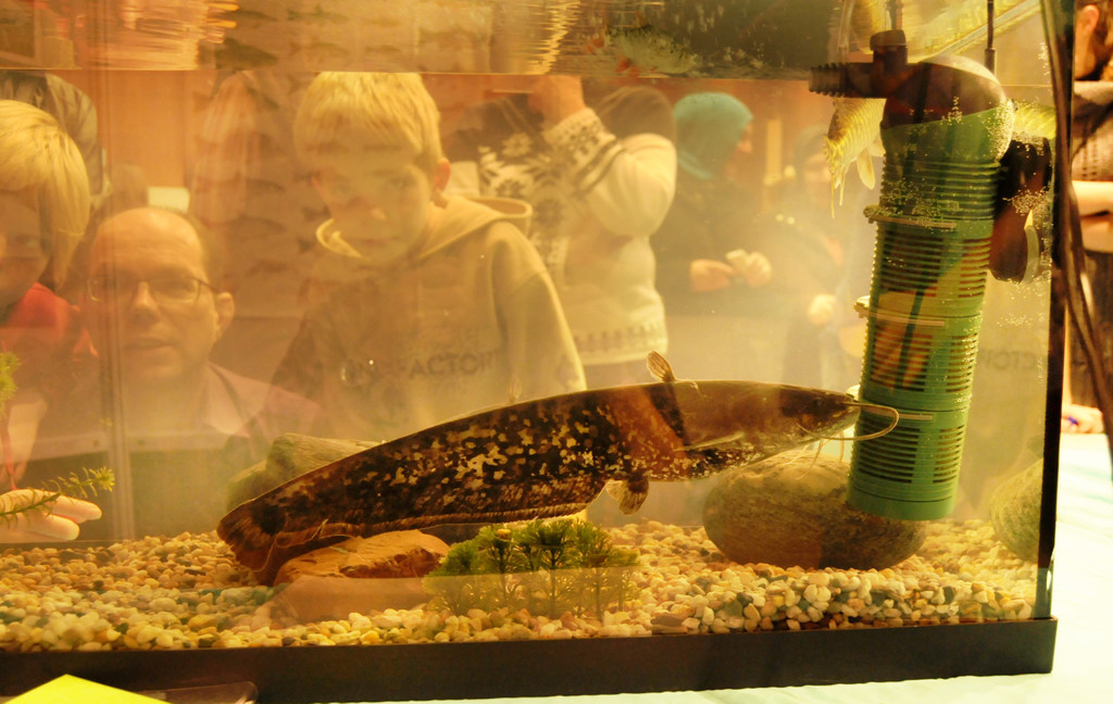 Naturerleben H__chst 01_12_2011 46_jpg-1322925133