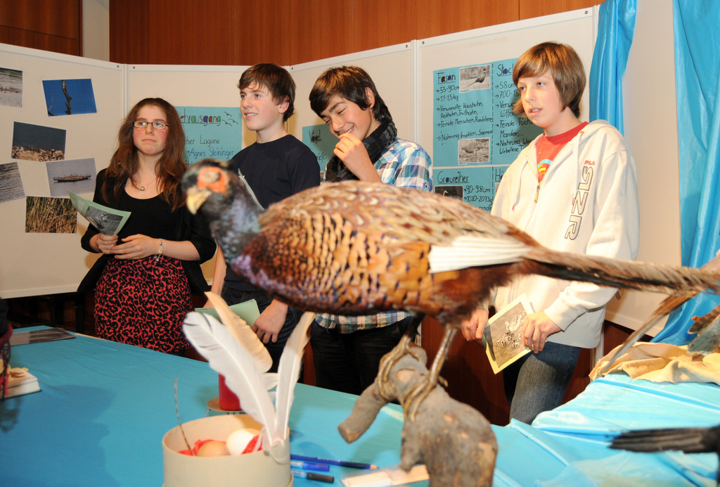 Naturerleben H__chst 01_12_2011 54_jpg-1322925183