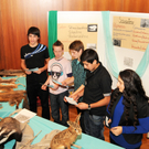 Naturerleben H__chst 01_12_2011 55_jpg-1322925201