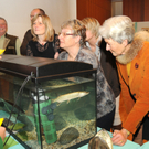 Naturerleben H__chst 01_12_2011 70_jpg-1322925278