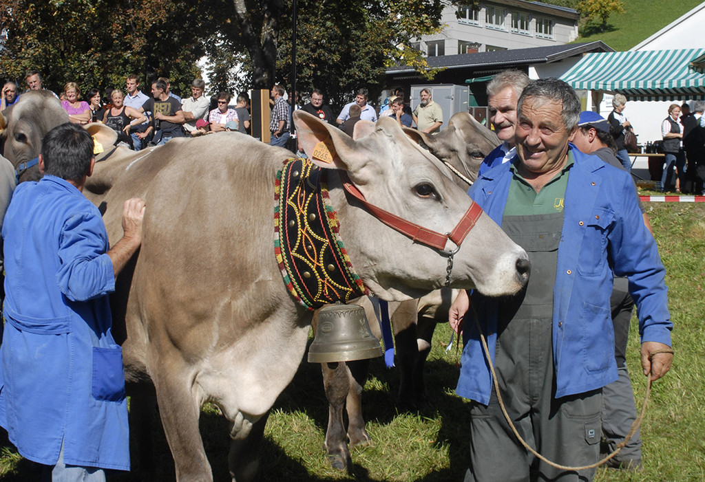Meine Gemeinde - Vieh Schr - 15.jpg