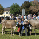 Meine Gemeinde - Vieh Schr - 16.jpg