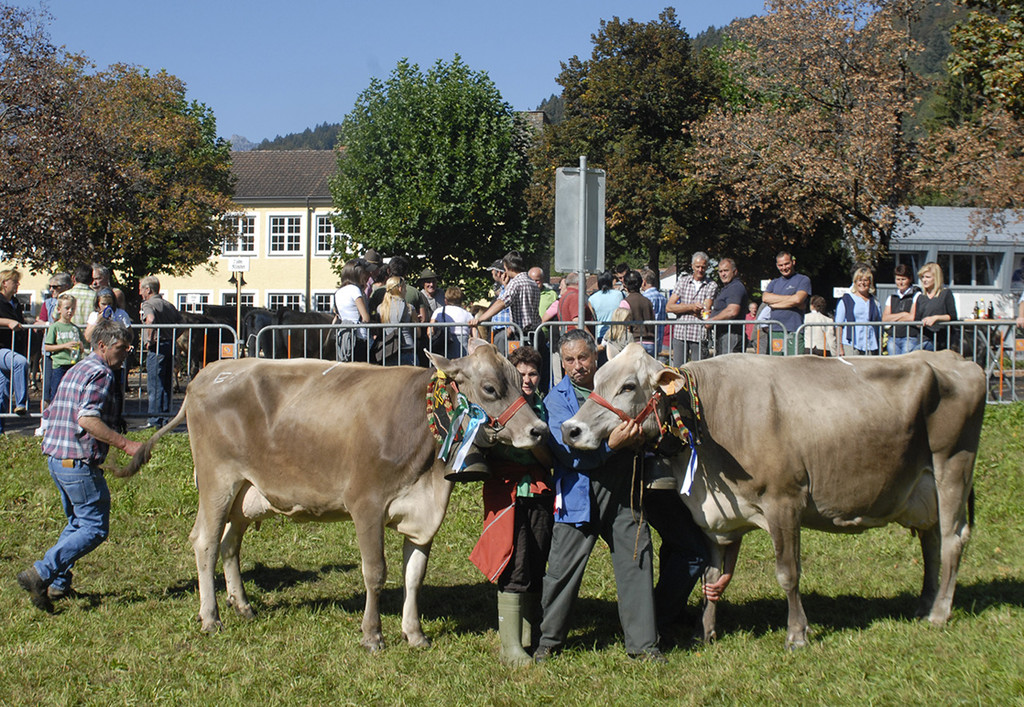 Meine Gemeinde - Vieh Schr - 16.jpg