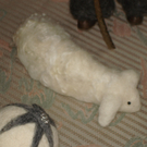 DSC04384.JPG