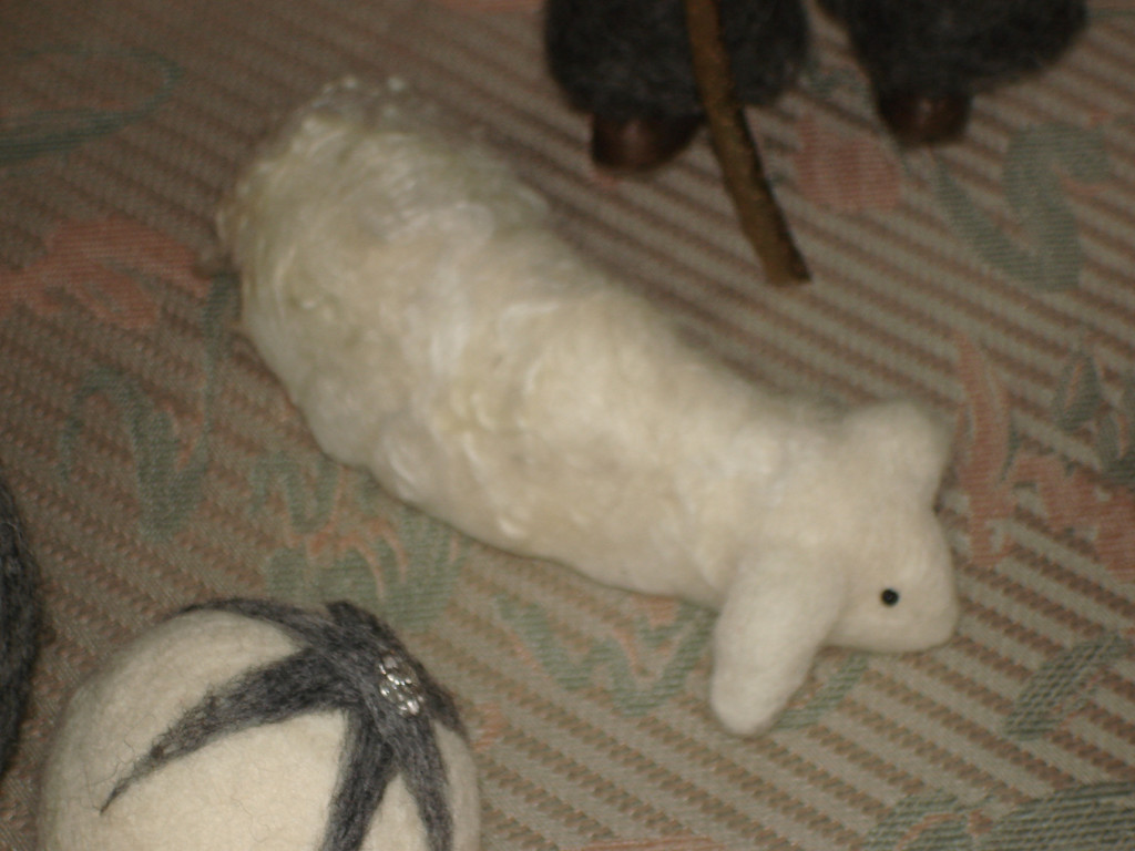 DSC04384.JPG