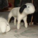 DSC04385.JPG