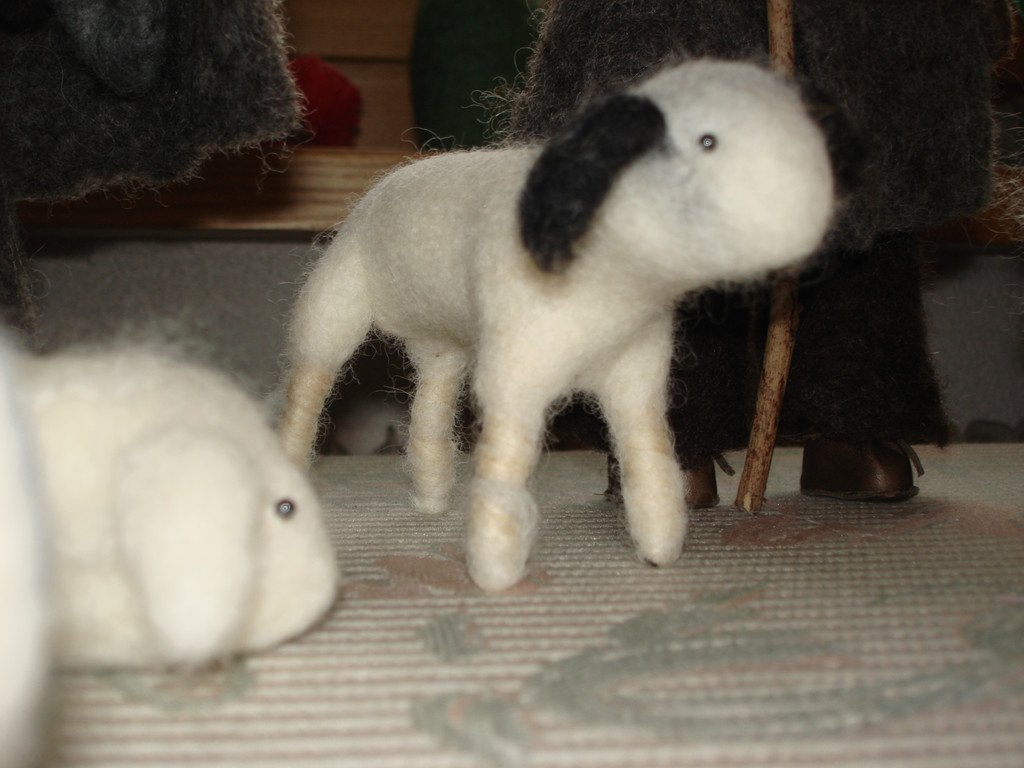 DSC04385.JPG