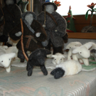 DSC04391.JPG