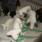 DSC04393.JPG