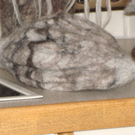 DSC04419.JPG