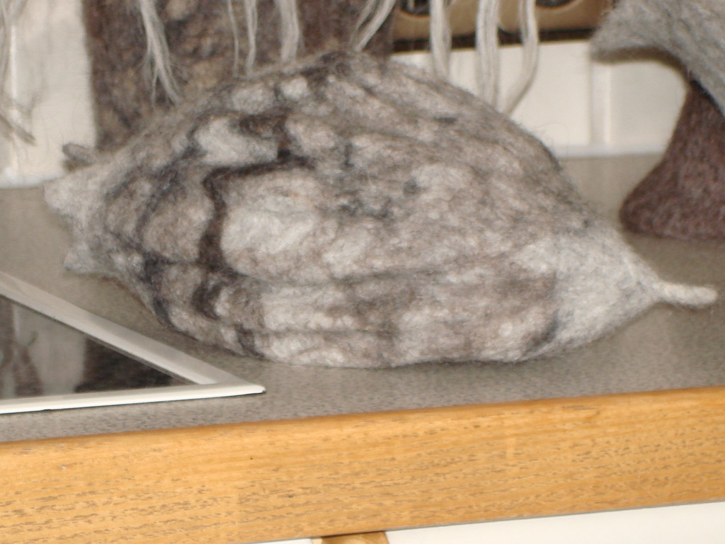 DSC04419.JPG