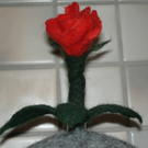 DSC04434.JPG