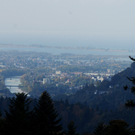 DSC02086_JPG-1322995873