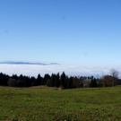 DSC02133_JPG-1322995990