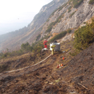 Mehr Bilder vom Waldbrand