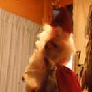 Dezember 1 049.JPG