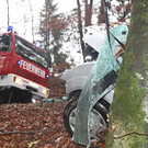 normal_04122011vukirchbergffaktivnews_41.jpg
