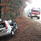normal_04122011vukirchbergffaktivnews_49.jpg