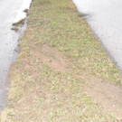 normal_03122011busbgaktivnews_06.JPG