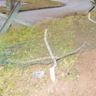normal_03122011busbgaktivnews_09.JPG