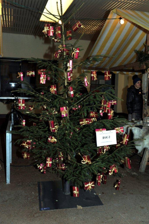 _ALF0477.jpg