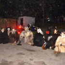 Krampusshow Braz_388.jpg