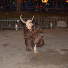 Krampusshow Braz_419.jpg