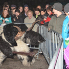 Krampusshow Braz_431.jpg