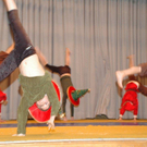 DSC_6495.jpg