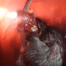 Krampuslauf00920111203.jpg