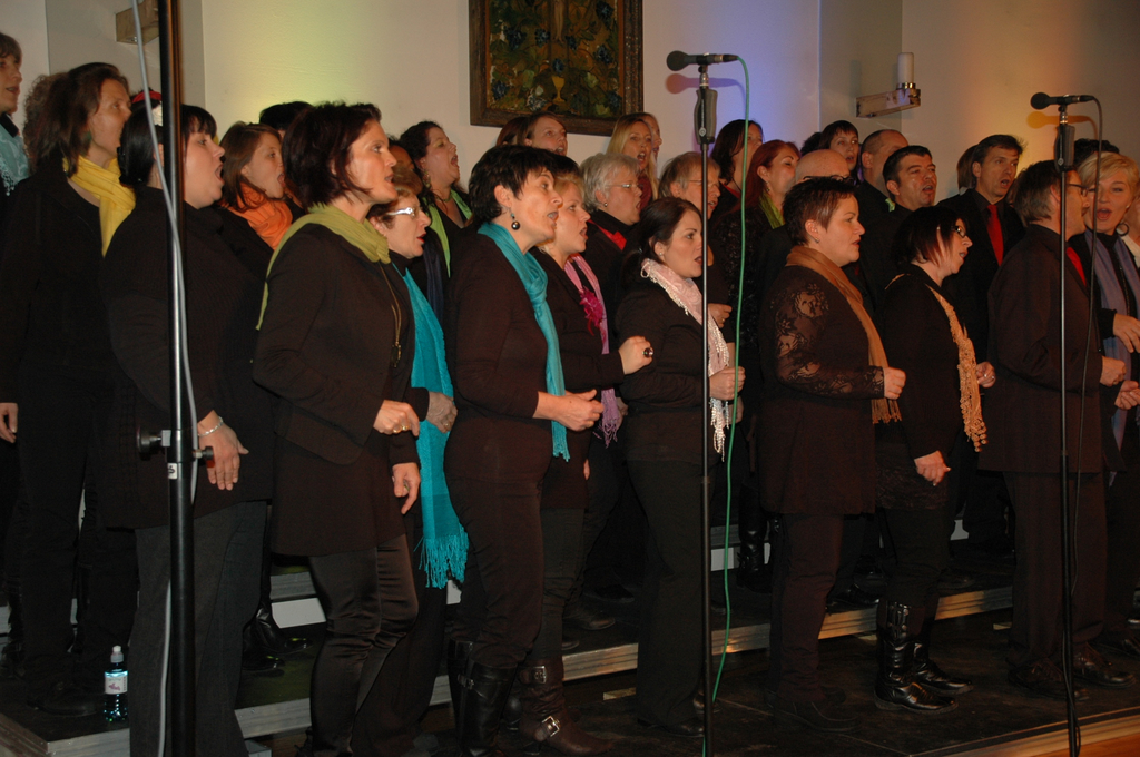 DSC_0211_JPG-1323074915