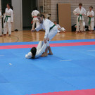 Karate Landesmeisterschaft 2011