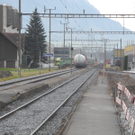 DSCN8130_JPG-1323079312