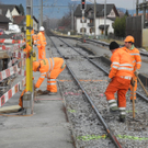 DSCN8131_JPG-1323079340