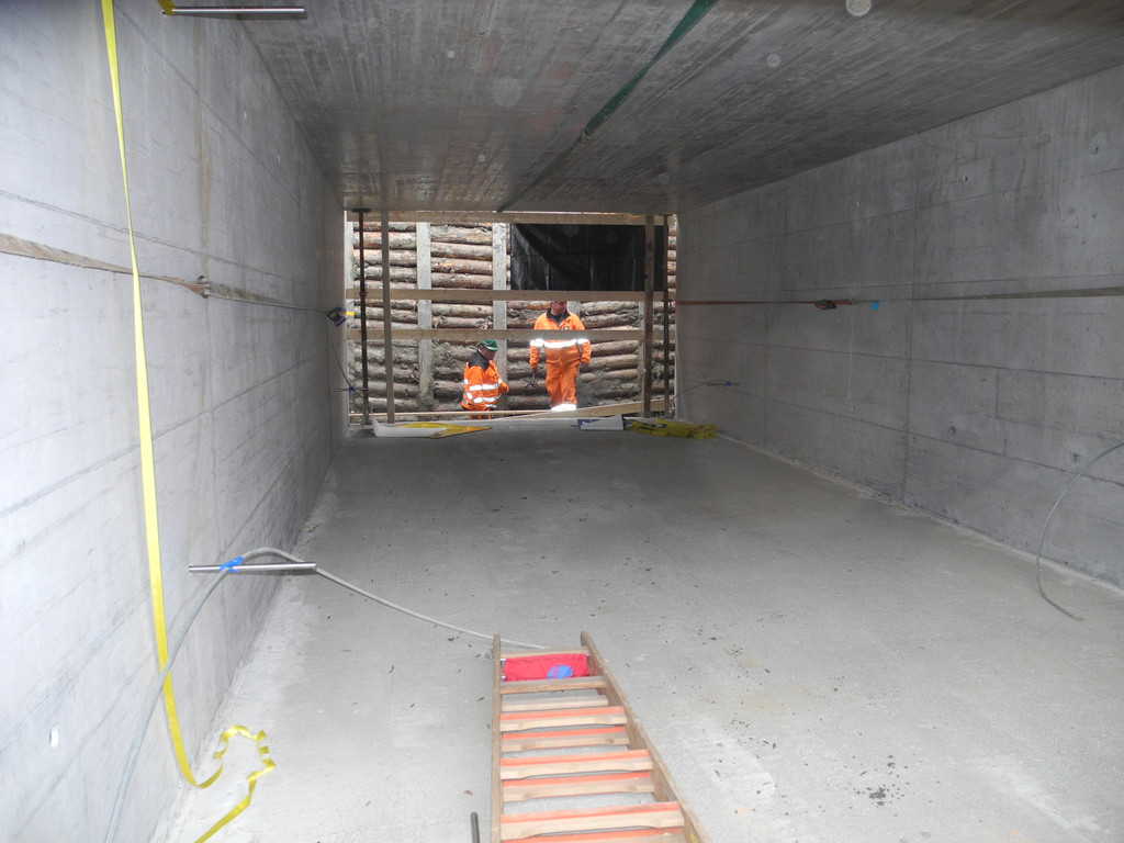 DSCN8425_JPG-1323079727