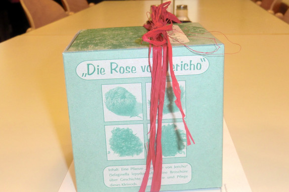 CIMG0060_JPG-1323080091