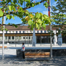 Linden 1_JPG-1323091344