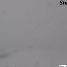 Stuben am Arlberg.jpg