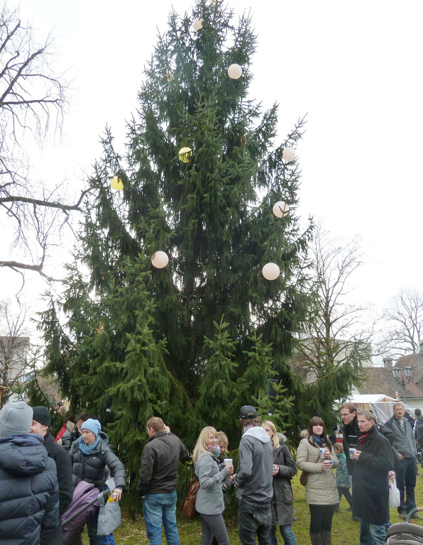 Markt3Baum_jpg-1323104044