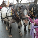 Markt6c_jpg-1323104171