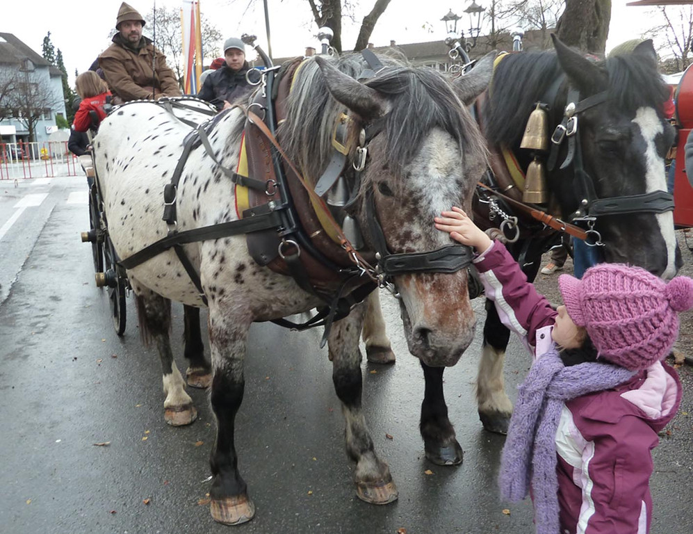 Markt6c_jpg-1323104171