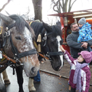 Markt6d_jpg-1323104350