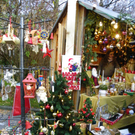 113_2803_JPG-1323132365