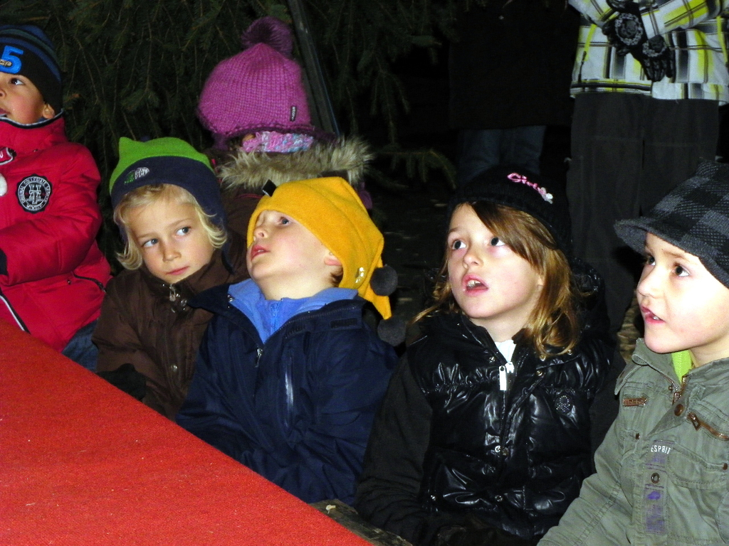 113_2831_JPG-1323133545