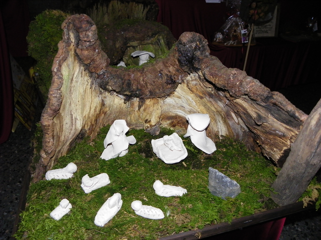 113_2602_JPG-1323133851