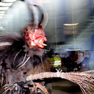 EP Krampus025.jpg