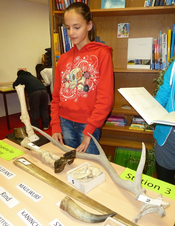 SMS3cBio_jpg-1323156866