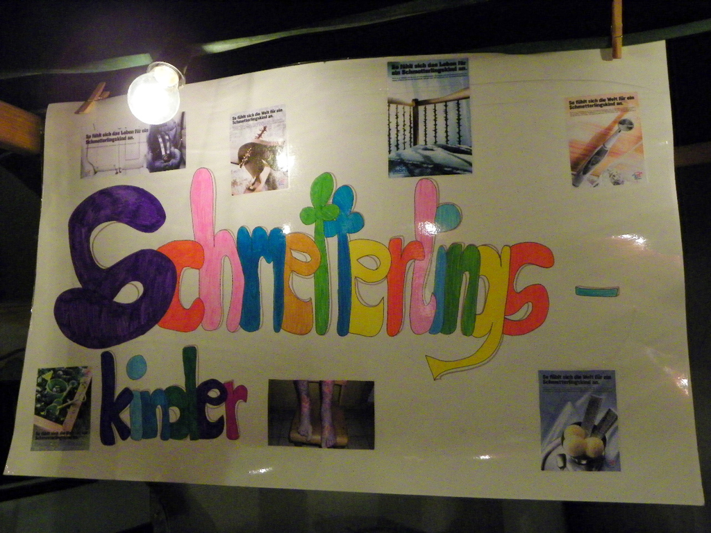 113_4163_JPG-1323219042