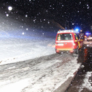 normal_06122011auvurlaktivens_20_39_.jpg