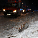 normal_06122011auvurlaktivens_20_51_.jpg